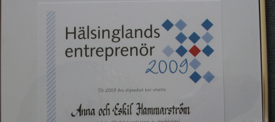 Hälsinglands entreprenörer 2009